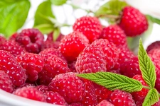 Ahududu Böğürtlen Özellikleri ve Faydaları Nelerdir? Ahududu Böğürtlen Özellikleri ve Faydaları Nelerdir?